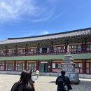 용주사 | 화성 용주사 템플스테이 비추 후기🪷