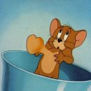 톰과제리 이미지