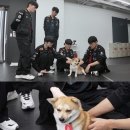 천하농장 이미지