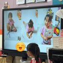 새빛솔금 이미지