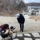 좋은차만들기 | ☕ 원주 지정면 카페 추천｜뜰에샘 후기 (동물도 있고 체험도 가능한 힐링카페)