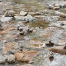 ㈜햇빛관광 이미지