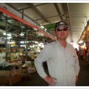 제주풍경스케치 이미지