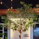 낭아래 | 제주중문맛집 중문관광단지 근처 낭아래 흑돼지 스키야끼 솔직 후기 추천