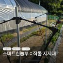 스마트한농부의 작물(고추)지지대 팜각대 실사용 후기