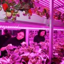 명동농장 이미지