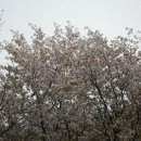 밥먹고가요 - 남양주시 | 밥먹고가요