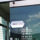 안계미나리농장 이미지