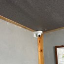 나비모터스 이미지