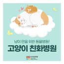 해밀동물병원 | 세종 해밀동물병원(고양이 호텔링) 방문후기