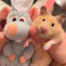 중앙로21길 | 🐹 빵지순례!!! 양재 편 💕(내돈내산)