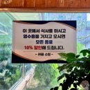 참나무도토리막국수 이미지