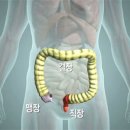 명상(주간) 이미지