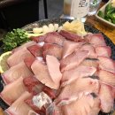 창동역 횟집 팔딱팔딱 대방어 맛집