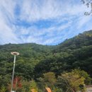 하늘숲 오토캠핑장 이미지