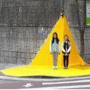 옐로카펫 이미지