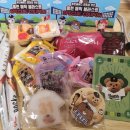 정이생(하) | 그동안 뭐하셨어요? 당연히 야구봤지!!!