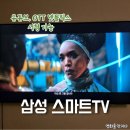 묵동 삼성디지털프라자 앞 | 삼성 스마트TV 55인치 벽걸이 내돈내산 구매 후기 유튜브, 넷플릭스 가능