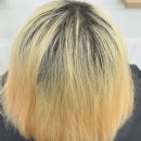 뿌리탈색 비포 &amp; 애프터 사진 후기 떼르헤어 채아