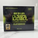 라라올라 이미지