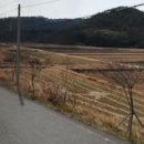 율촌면사무소 이미지