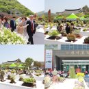 전국야생화전시회 이미지