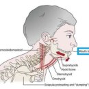 송도 PT 프리코어 운동센터 이미지