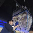 메스티지PC방 이미지