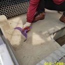 안산세관 이미지