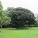 법화사입구 이미지