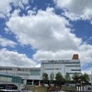 [삼겹살 도매] 매일 만석 보장되는 최고의 선별육 전국납품 #도드람한돈 #선진포크한돈