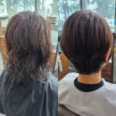 삐삐살롱 | 광교역 미용실 삐삐살롱 광교점 볼륨매직 중년컷트 후기