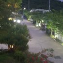 주식회사아인스