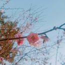 두유네일 이미지