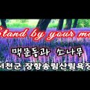 서천 송림산림욕장의 맥문동과 Stand by you&#39;r man 하모니카입니다 이미지