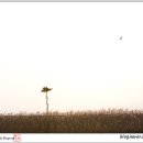 문득그리움 이미지