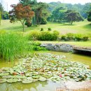 온그린 골프클럽 이미지