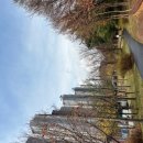 수원시 영통구 광교중앙로 이미지