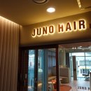 준오헤어 사이버외대점 펌전문가강한쌤 에게 받은 필러스컷 + 다운펌 스타일링 후기