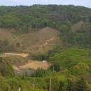 국보농장 이미지