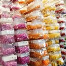 수니컴퍼니 이미지