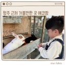 (주)에코팜 | 진천 에코팜 주말 아이와 가볼만한곳 먹이주기 체험 후기