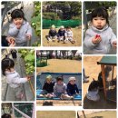 베리굿농장 이미지