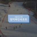 위더스컴즈 | [서울근교스키장]양지파인리조트 따끈따끈 후기