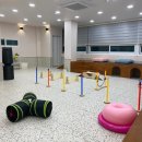 킁킁멍멍 이미지