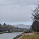 단풍 | 교토 혼자여행 에이잔전철 1일권으로 다녀온 구라마,기부네,이치하라역 단풍 여행 후기