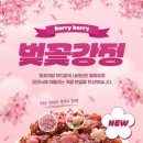 천년닭강정 티스토리