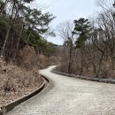 칠곡 도덕암 나한전내 제상 | 소원을 이루어주는 곳, 칠곡 도덕암 나한전