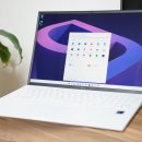 플렉스 피씨(FLEX PC)오류점 | 새해 노트북 플렉스 LG그램 17인치 사전계약 드디어 받았어요