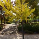 25시 사리골 이미지